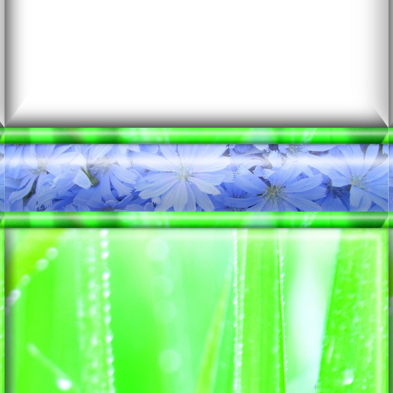 Комплект панелей ПВХ с цифровой печатью "Цикорий" 2700x250x9 мм, 2 шт