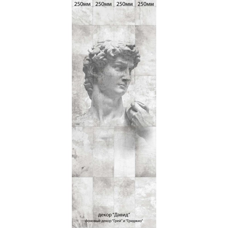 Комплект панелей ПВХ с цифровой печатью "Грей и Гриджио - Давид" 2700x250x9 мм, 4 шт
