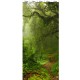 Комплект панелей ПВХ с цифровой печатью "Таинственный лес" 2700x250x9 мм, 5 шт