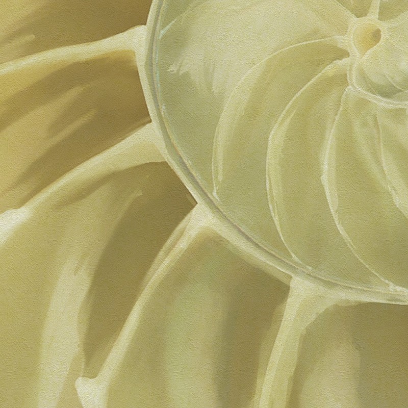Комплект ламинированных панелей ПВХ с цифровой печатью "Орхидея Светло-Зеленая - Наутилус" вставка 2700x250x9 мм, 5 шт